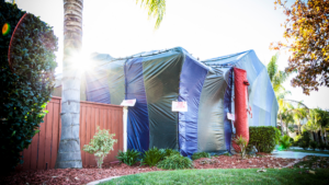 termite treatment Orange County