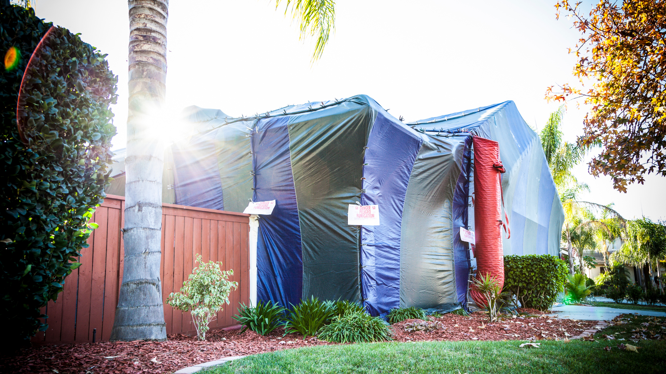 termite treatment Orange County