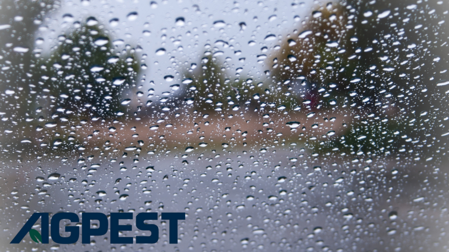 rainfall affects pests