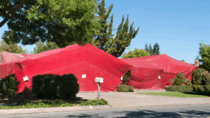 Termite fumigation