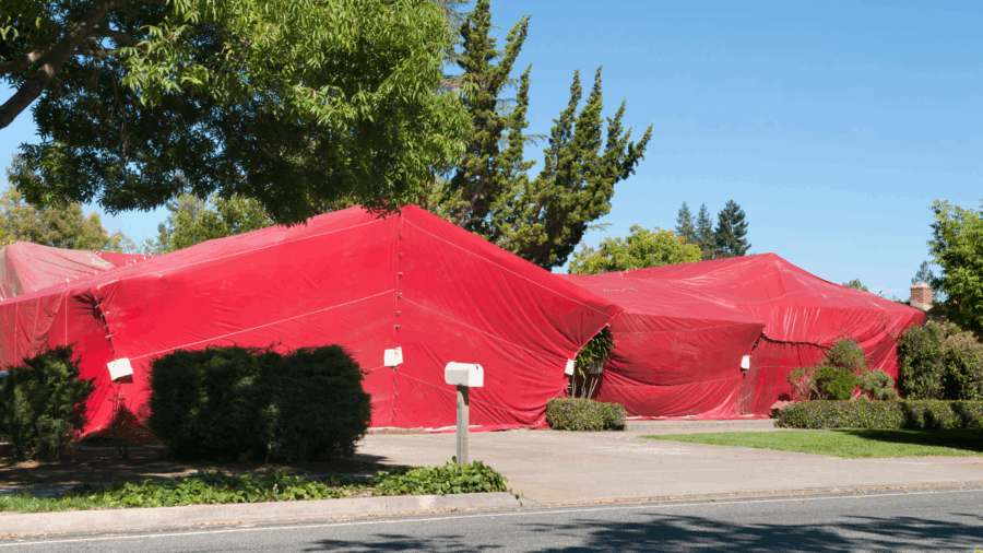 Termite fumigation