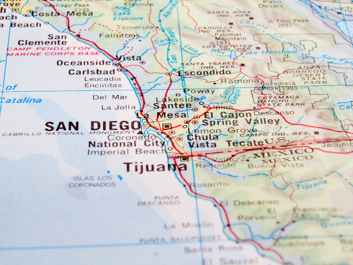 pest control near you