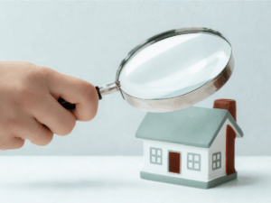 pest control services