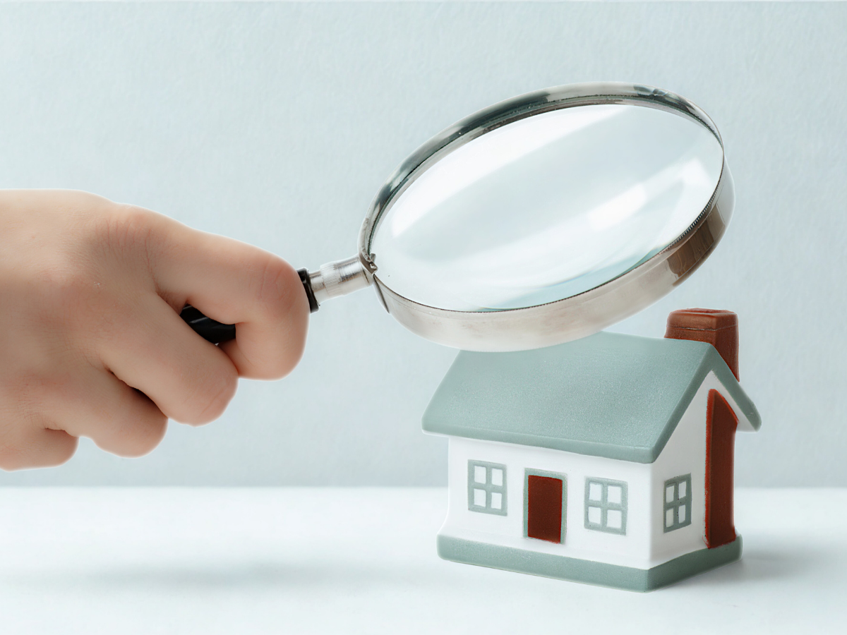 pest control services